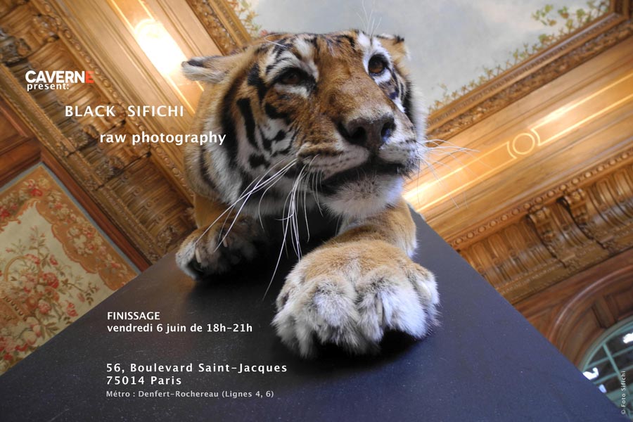 Tiger flyer Foto Sifichi-finissage_sml